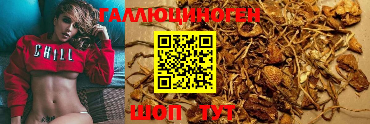 Галлюциногенные грибы Magic Shrooms Новокубанск