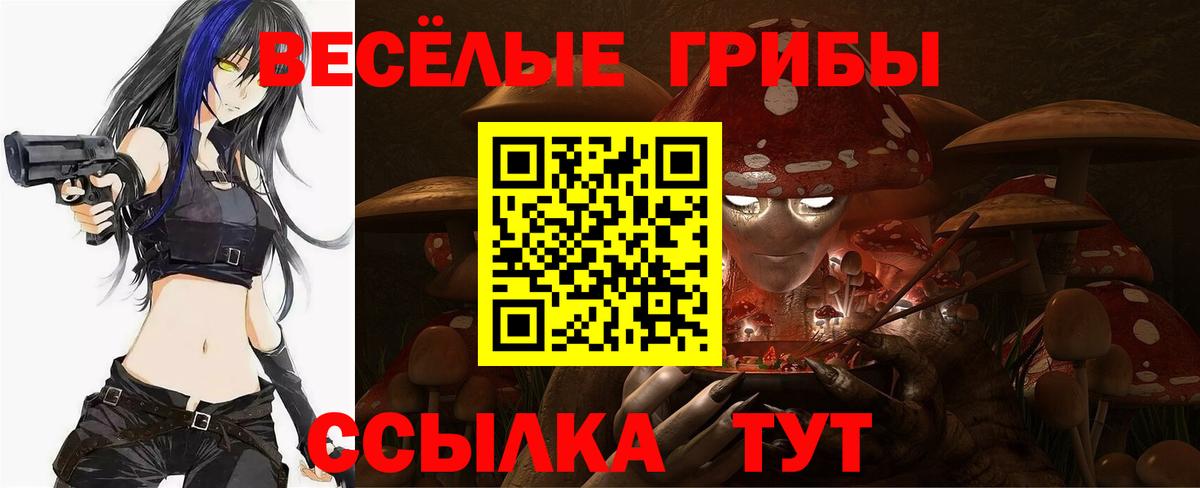 Галлюциногенные грибы Psilocybine cubensis  Вход с VPN  Новокубанск 
